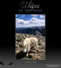 RM SHEEP ON GRAYS PEAK